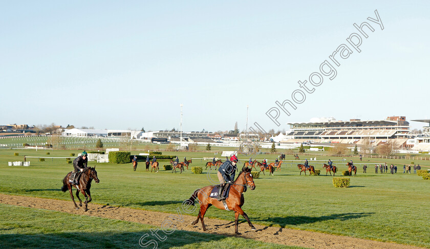 Tiger-Roll-0003 
 TIGER ROLL exercising on the eve of the Cheltenham Festival
Cheltenham 14 Mar 2022 - Pic Steven Cargill / Racingfotos.com