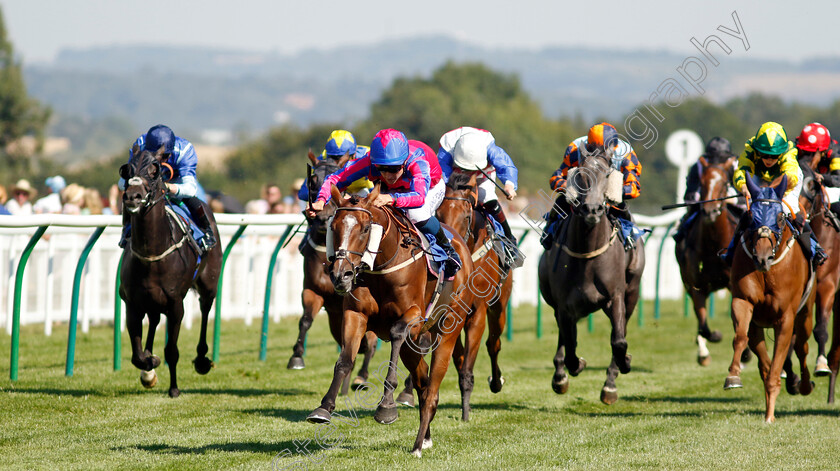 Sly-Madam-0002 
 SLY MADAM (William Carver) wins The M J Church Handicap
Salisbury 11 Aug 2022 - Pic Steven Cargill / Racingfotos.com