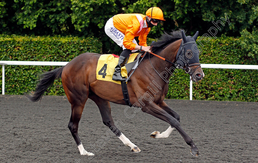 Rajmeister-0001 
 RAJMEISTER (Jack Mitchell)
Kempton 2 Jun 2021 - Pic Steven Cargill / Racingfotos.com