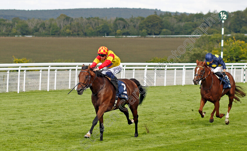 Savvy-Victory-0006 
 SAVVY VICTORY (David Probert) wins The William Hill Handicap
Goodwood 28 Aug 2022 - Pic Steven Cargill / Racingfotos.com