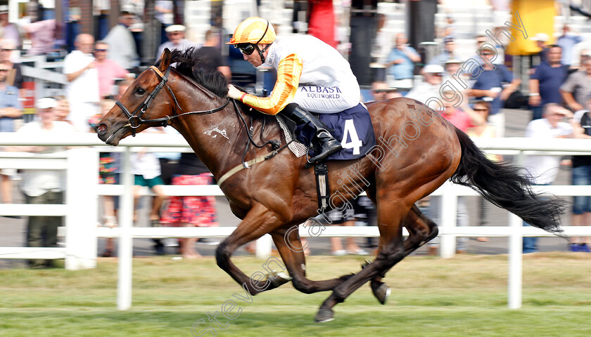 Isle-Of-Wolves-0003 
 ISLE OF WOLVES (Pat Cosgrave) wins The Play Blackjack At 188bet Casino Novice Auction Stakes
Lingfield 25 Jul 2018 - Pic Steven Cargill / Racingfotos.com