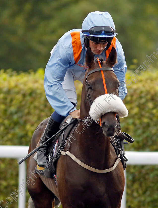 Due-Consideration-0001 
 DUE CONSIDERATION (Connor Murtagh)
Kempton 8 Sep 2023 - Pic Steven Cargill / Racingfotos.com