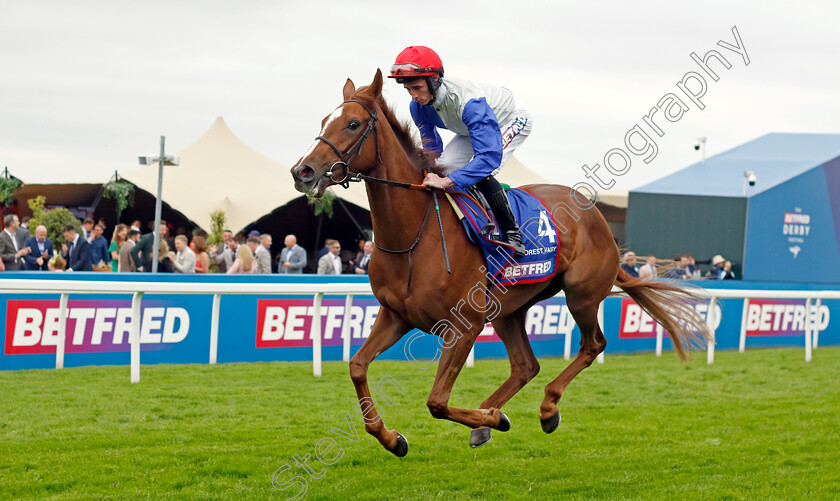 Forest-Fairy-0001 
 FOREST FAIRY (Rossa Ryan)
Epsom 31 May 2024 - Pic Steven Cargill / Racingfotos.com