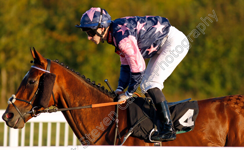 Simiyann-0001 
 SIMIYANN (Richard Kingscote)
Chelmsford 3 Oct 2024 - Pic Steven Cargill / Racingfotos.com