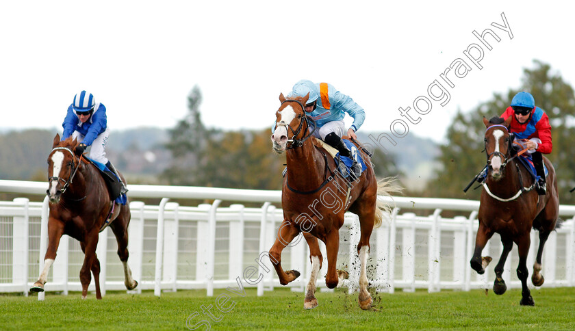 The-Rosstafarian-0004 
 THE ROSSTAFARIAN (James Doyle) wins The PKF Francis Clark British EBF Novice Stakes Div2
Salisbury 1 Oct 2020 - Pic Steven Cargill / Racingfotos.com