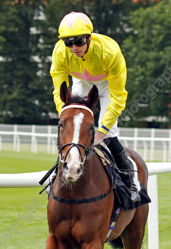 Sassy-Rascal-0001 
 SASSY RASCAL (James Doyle)
Newbury 13 Aug 2021 - Pic Steven Cargill / Racingfotos.com