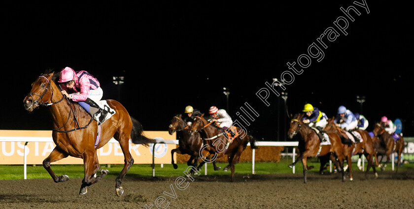 Bowmark-0003 
 BOWMARK (Kieran Shoemark) wins The Unibet EBF Novice Stakes Div2
Kempton 4 Dec 2024 - pic Steven Cargill / Racingfotos.com