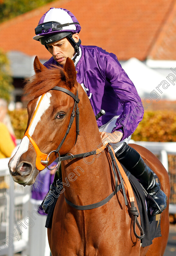 Mammas-Girl-0007 
 MAMMAS GIRL (Sean Levey) winner of The Discover Newmarket Fillies Restricted Novice Stakes Div2
Newmarket 19 Oct 2022 - Pic Steven Cargill / Racingfotos.com