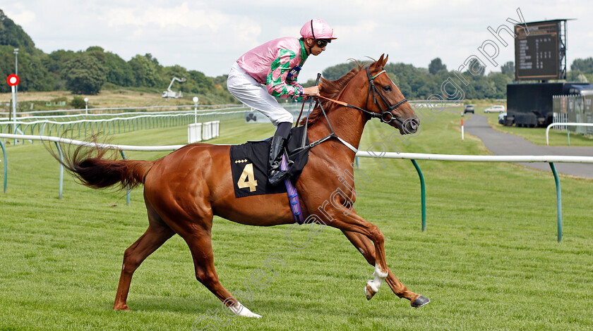 Apache-Territory-0001 
 APACHE TERRITORY (Louis Steward)
Nottingham 10 Aug 2021 - Pic Steven Cargill / Racingfotos.com