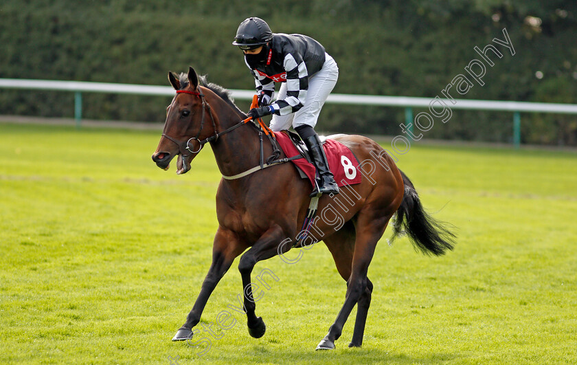 Fox-Hill-0001 
 FOX HILL (Rachel Richardson)
Haydock 4 Sep 2020 - Pic Steven Cargill / Racingfotos.com