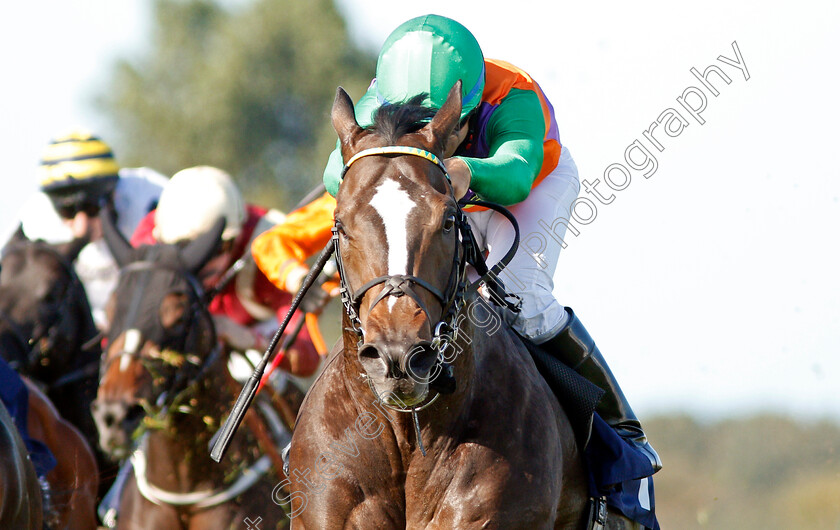 Daschas-0003 
 DASCHAS (Marco Ghiani) wins The Danny & Peggy Wright Memorial Handicap
Yarmouth 18 Sep 2019 - Pic Steven Cargill / Racingfotos.com