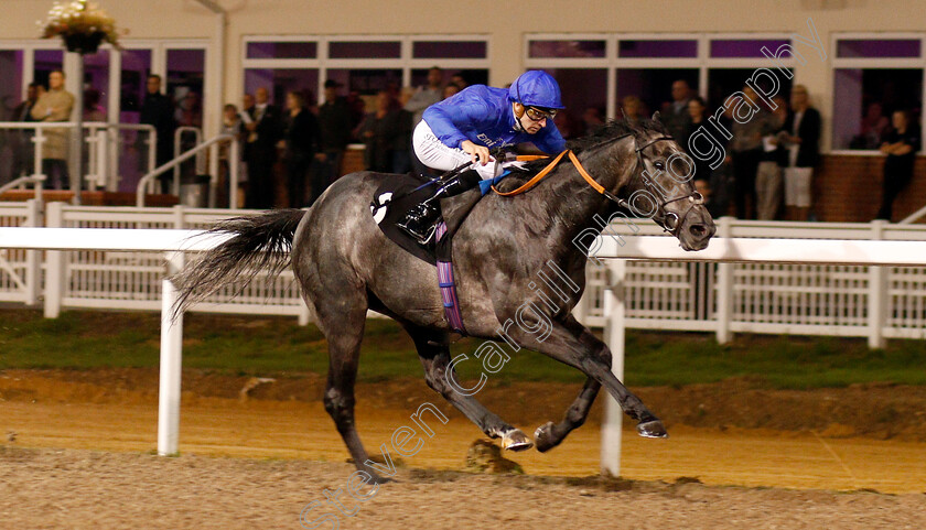 Welsh-Lord-0004 
 WELSH LORD (Hector Crouch) wins The Natta Building Company Ltd Novice Stakes
Chelmsford 6 Sep 2018 - Pic Steven Cargill / Racingfotos.com