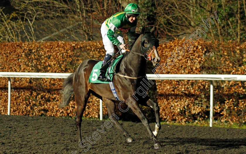 Havana-Goldrush 
 HAVANA GOLDRUSH (Liam Keniry)
Kempton 2 Mar 2022 - Pic Steven Cargill / Racingfotos.com