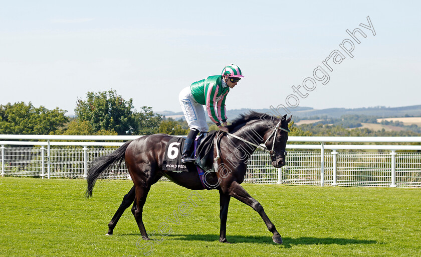 Pogo-0001 
 POGO (Kieran Shoemark)
Goodwood 30 Jul 2024 - Pic Steven Cargill / Racingfotos.com