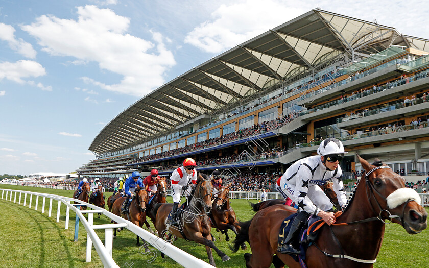 Al-Qareem-0002 
 AL QAREEM (Clifford Lee) leads in The Queen's Vase
Royal Ascot 15 Jun 2022 - Pic Steven Cargill / Racingfotos.com