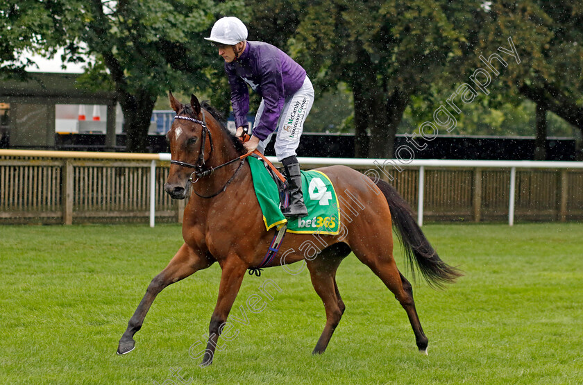 Thanksbutnothanks-0001 
 THANKSBUTNOTHANKS (Gary Halpin)
Newmarket 14 Jul 2023 - Pic Steven Cargill / Racingfotos.com