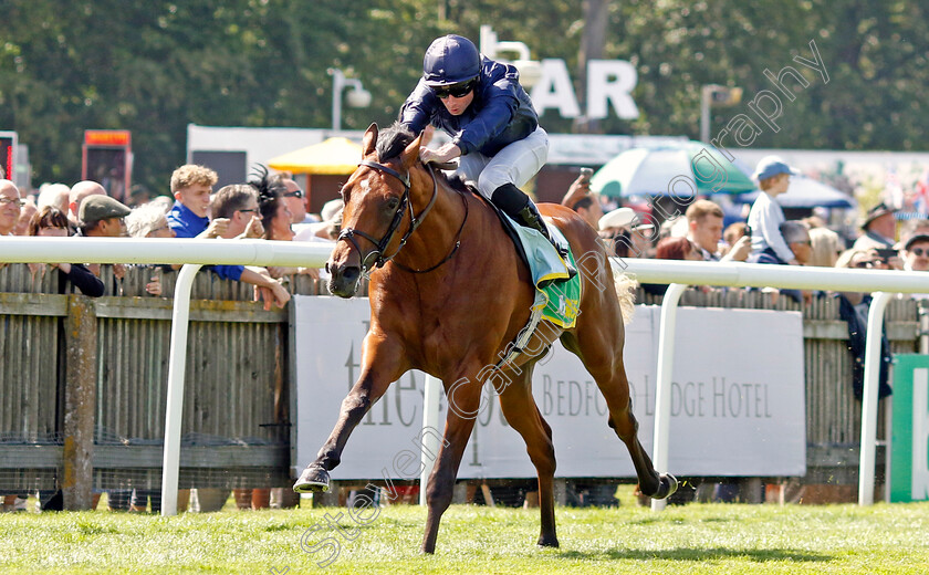 City-Of-Troy-0006 
 CITY OF TROY (Ryan Moore) wins The bet365 Superlative Stakes
Newmarket 15 Jul 2023 - Pic Steven Cargill / Racingfotos.com