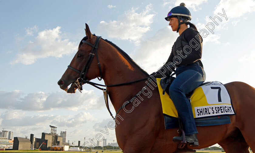 Shirl s-Speight-0001 
 SHIRL'S SPEIGHT training for the Dubai Turf
Meydan, Dubai, 23 Mar 2023 - Pic Steven Cargill / Racingfotos.com