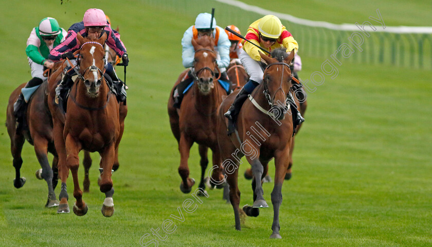 Divina-Grace-0003 
 DIVINA GRACE (Callum Shepherd) beats CRYSTAL DELIGHT (left) in The Graham Budd Art & Memorabilia Auction Handicap
Newmarket 28 Sep 2023 - Pic Steven Cargill / Racingfotos.com