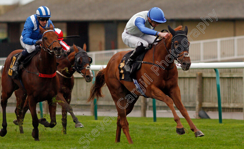 Chance-0005 
 CHANCE (James Doyle) beats MODMIN (left) in The Download The Mansionbet App Handicap
Newmarket 30 Oct 2020 - Pic Steven Cargill / Racingfotos.com