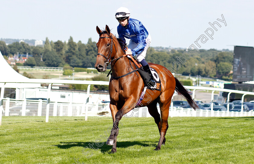 Winter-Lightning-0002 
 WINTER LIGHTNING (Oisin Murphy)
Sandown 1 Sep 2018 - Pic Steven Cargill / Racingfotos.com