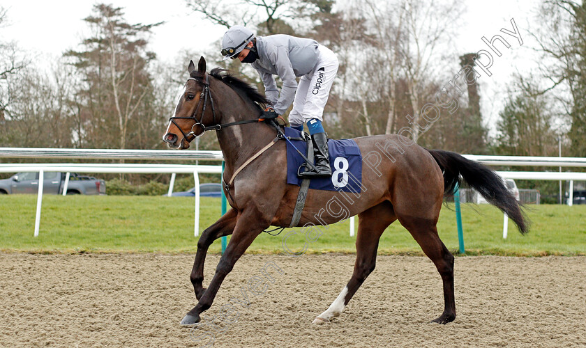 Burmese-Waltz-0001 
 BURMESE WALTZ (Kieran Shoemark)
Lingfield 6 Feb 2021 - Pic Steven Cargill / Racingfotos.com