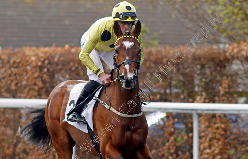 Royal-Rhyme-0001 
 ROYAL RHYME (Clifford Lee)
Kempton 10 Apr 2023 - Pic Steven Cargill / Racingfotos.com