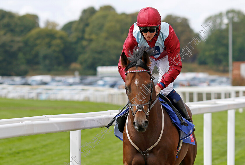 Jumby 
 JUMBY (Jim Crowley)
York 20 Aug 2022 - Pic Steven Cargill / Racingfotos.com