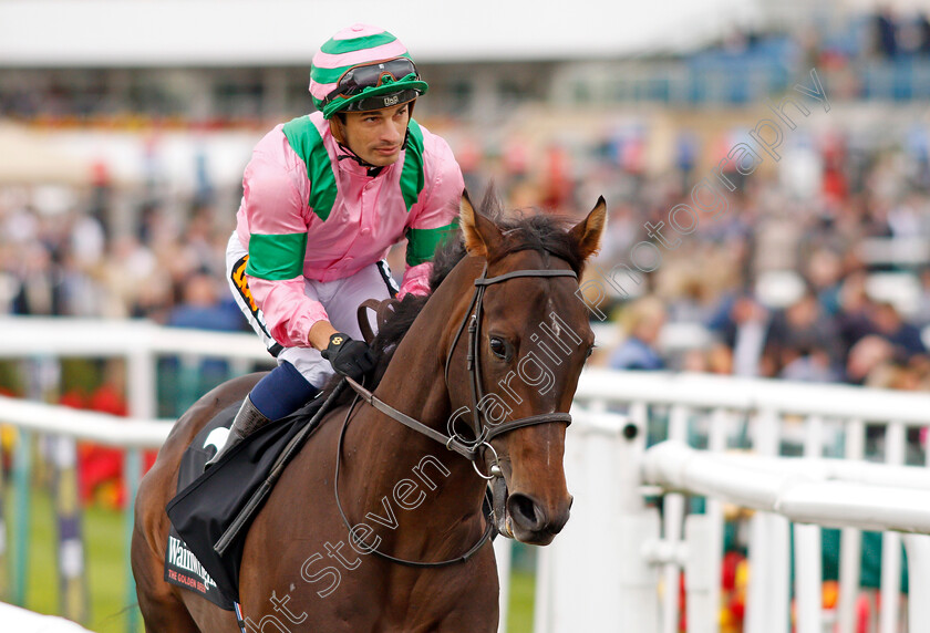 Midsummer-Knight-0001 
 MIDSUMMER KNIGHT (Silvestre De Sousa) Doncaster 15 Sep 2017 - Pic Steven Cargill / Racingfotos.com