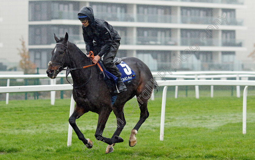 Chantry-House-0001 
 CHANTRY HOUSE (Adrian Heskin) at Coral Gold Cup Weekend Gallops Morning
Newbury 15 Nov 2022 - Pic Steven Cargill / Racingfotos.com