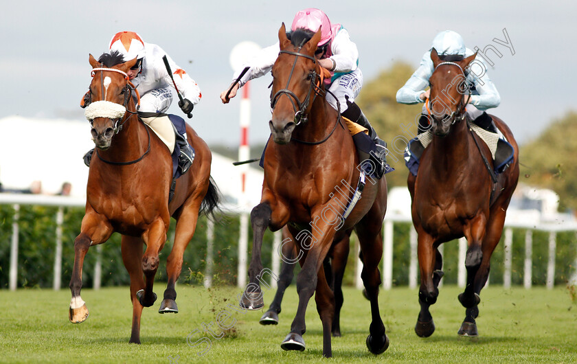 Sangarius-0008 
 SANGARIUS (Ryan Moore) beats DUBAI DOMINION (left) in The Weatherbys Global Stallions App Flying Scotsman Stakes
Doncaster 14 Sep 2018 - Pic Steven Cargill / Racingfotos.com