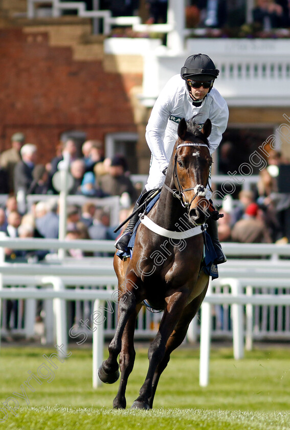 Constitution-Hill-0019 
 CONSTITUTION HILL (Nico de Boinville) winner of The William Hill Aintree Hurdle
Aintree 13 Apr 2023 - Pic Steven Cargill / Racingfotos.com