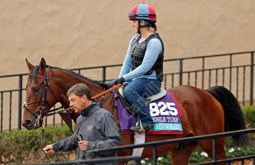 Untamed-Domain-0001 
 UNTAMED DOMAIN with Graham Motion, training for The Breeders' Cup Juvenile Turf at Del Mar USA 31 Oct 2017 - Pic Steven Cargill / Racingfotos.com