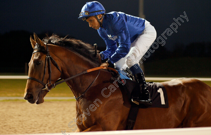 Morlock-0001 
 MORLOCK (William Buick) Chelmsford 12 Oct 2017 - Pic Steven Cargill / Racingfotos.com