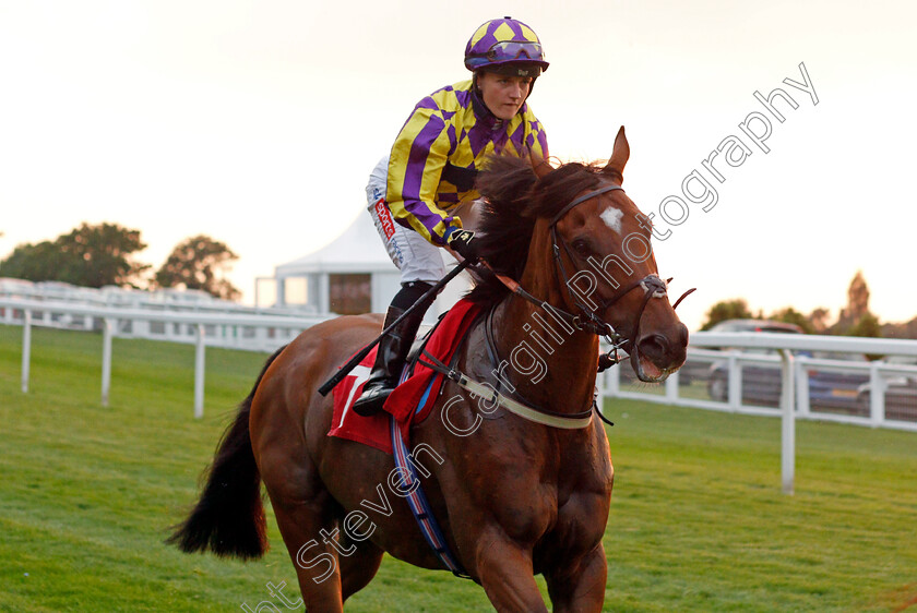 Roar-0001 
 ROAR (Hollie Doyle)
Sandown 21 Jul 2021 - Pic Steven Cargill / Racingfotos.co