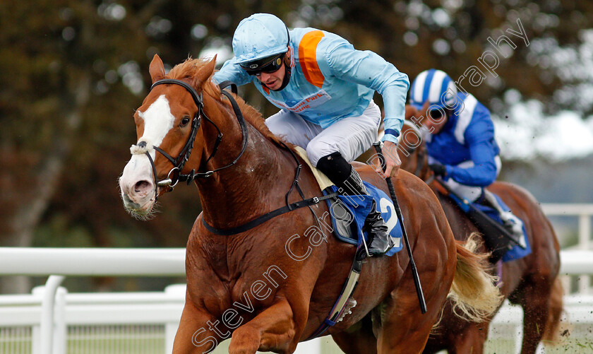 The-Rosstafarian-0006 
 THE ROSSTAFARIAN (James Doyle) wins The PKF Francis Clark British EBF Novice Stakes Div2
Salisbury 1 Oct 2020 - Pic Steven Cargill / Racingfotos.com