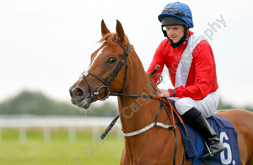 Veleta-0002 
 VELETA (Liam Keniry)
Bath 18 Jul 2020 - Pic Steven Cargill / Racingfotos.com