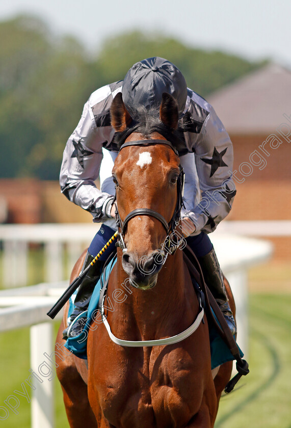 Up-The-Jazz-0001 
 UP THE JAZZ (Oisin Orr)
York 16 Jun 2023 - Pic Steven Cargill / Racingfotos.com