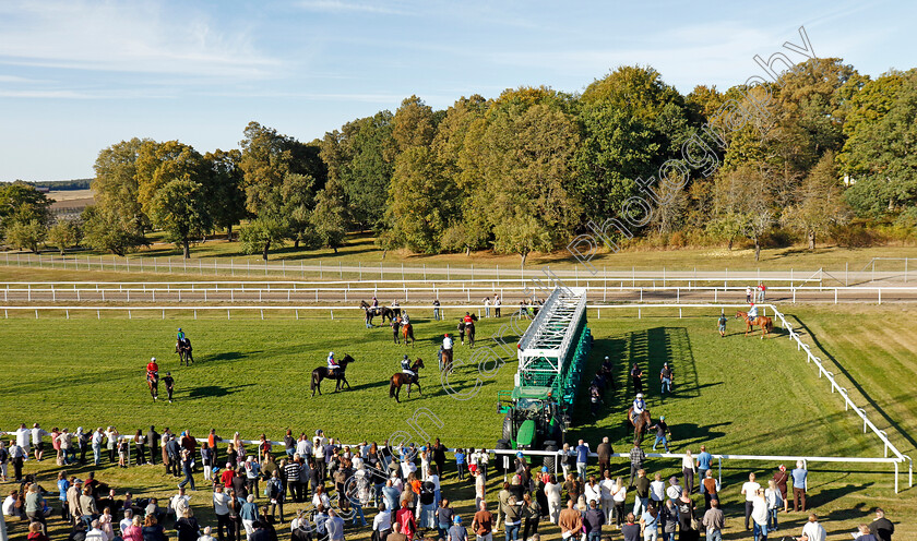 Bro-Park-0003 
 Horses gathered at the starting stalls
Bro Park, Sweden , 15 Sep 2024 - Pic Steven Cargill / Racingfotos.com