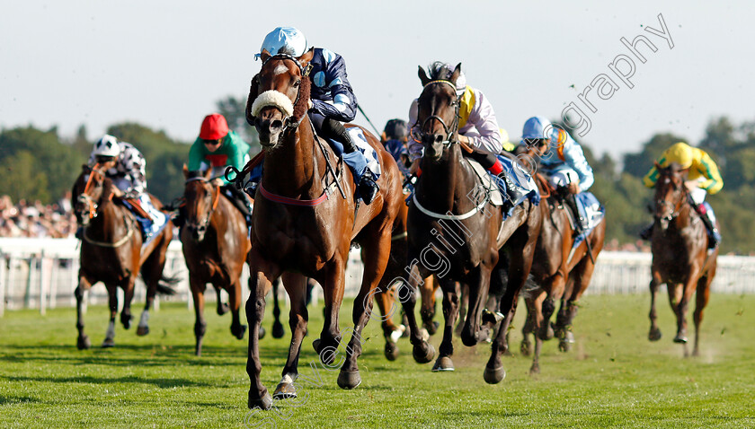 Que-Amoro-0001 
 QUE AMORO (Phil Dennis) wins The Sky Bet Apprentice Handicap
York 24 Aug 2019 - Pic Steven Cargill / Racingfotos.com