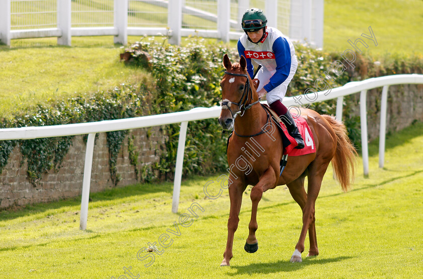 Captain-Square-0002 
 CAPTAIN SQUARE (Rob Hornby)
Sandown 2 Jul 2021 - Pic Steven Cargill / Racingfotos.com