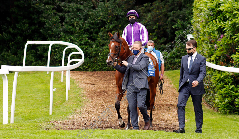 St-Mark s-Basilica-0002 
 ST MARK'S BASILICA (Ryan Moore) before winning The Coral Eclipse Stakes
Sandown 3 Jul 2021 - Pic Steven Cargill / Racingfotos.com