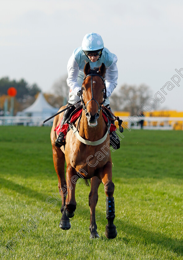 Royal-Way-0001 
 ROYAL WAY (Caoilin Quinn)
Sandown 8 Dec 2023 - Pic Steven Cargill / Racingfotos.com