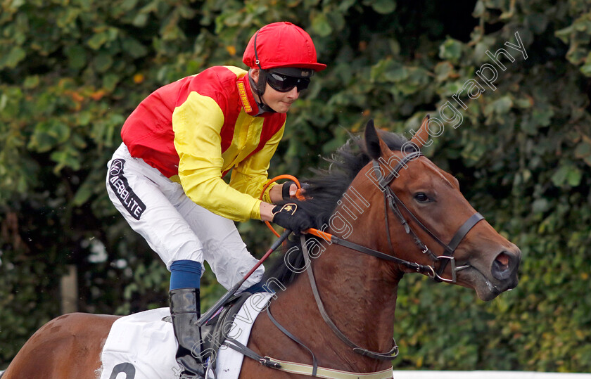 Coisty-0001 
 COISTY (William Cox)
Kempton 28 Aug 2024 - Pic Steven Cargill / Racingfotos.com