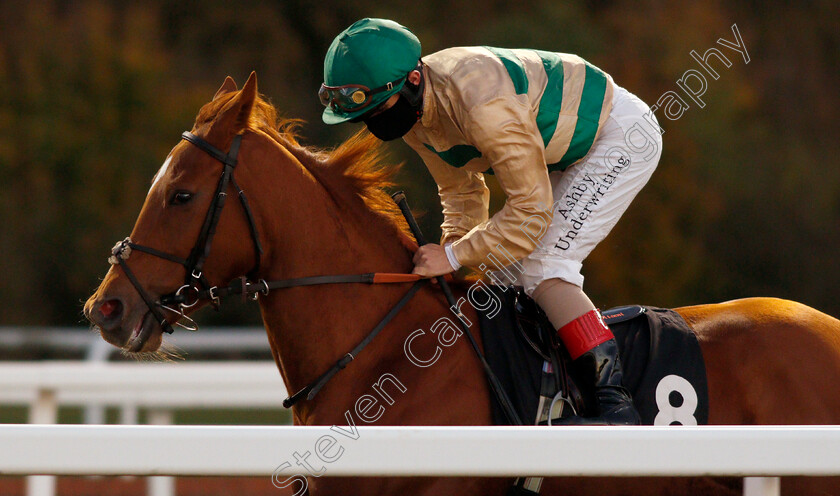 Paycheck-0001 
 PAYCHECK (Andrea Atzeni)
Chelmsford 22 Oct 2020 - Pic Steven Cargill / Racingfotos.com