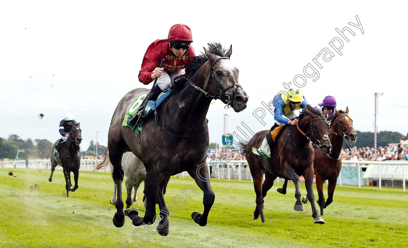 Roaring-Lion-0006 
 ROARING LION (Oisin Murphy) beats POET'S WORD (right) in The Juddmonte International Stakes
York 22 Aug 2018 - Pic Steven Cargill / Racingfotos.com