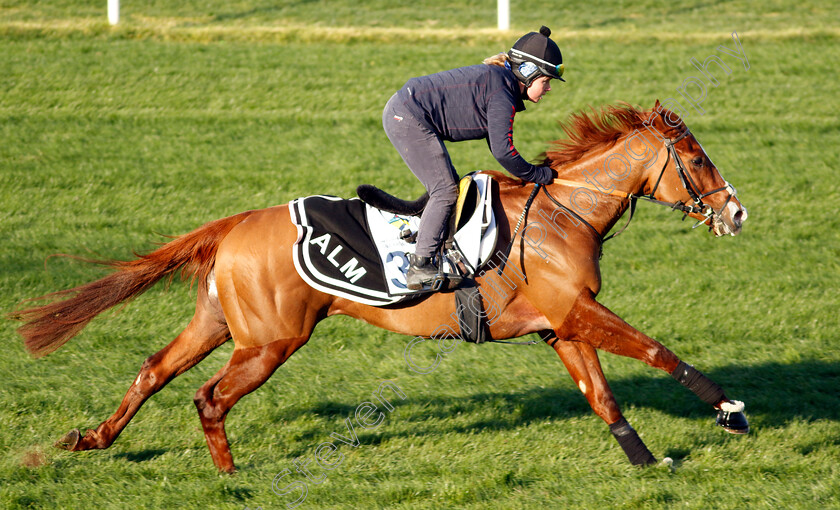 Itsatenfromlen-0003 
 ITSATENFROMLEN training at the Dubai Racing Carnival
Meydan 22 Jan 2025 - Pic Steven Cargill / Racingfotos.com