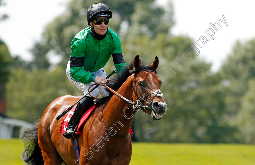 Mojomaker-0001 
 MOJOMAKER (Pat Cosgrave)
Sandown 2 Jul 2021 - Pic Steven Cargill / Racingfotos.com