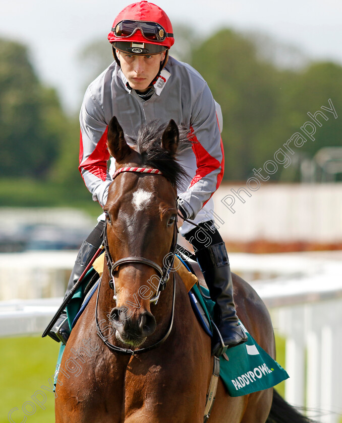 Isla-Kai 
 ISLA KAI (Rowan Scott)
York 12 May 2022 - Pic Steven Cargill / Racingfotos.com