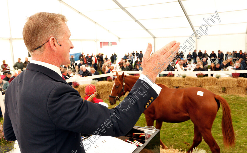 Stockholm-Yearling-Sale-0017 
 Auctioneer Alastair Pim in action during the Stockholm Yearling Sale
Bro, Sweden 22 Sep 2018 - Pic Steven Cargill / Racingfotos.com